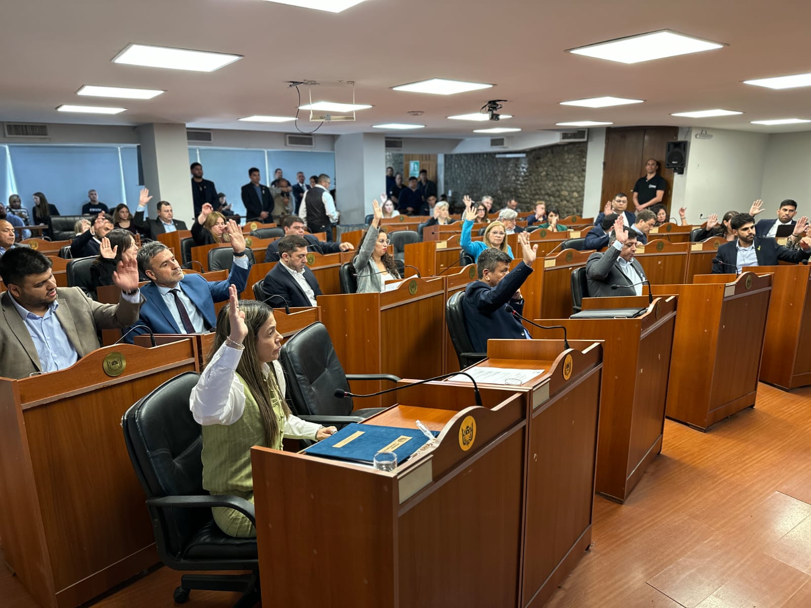 Diputados avanzó con la adecuación del Régimen Penal Juvenil y con expropiaciones en Paclín y Pomán