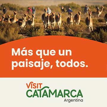 Publicidad