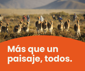 Publicidad