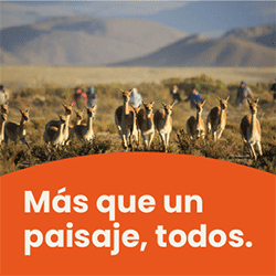 Publicidad